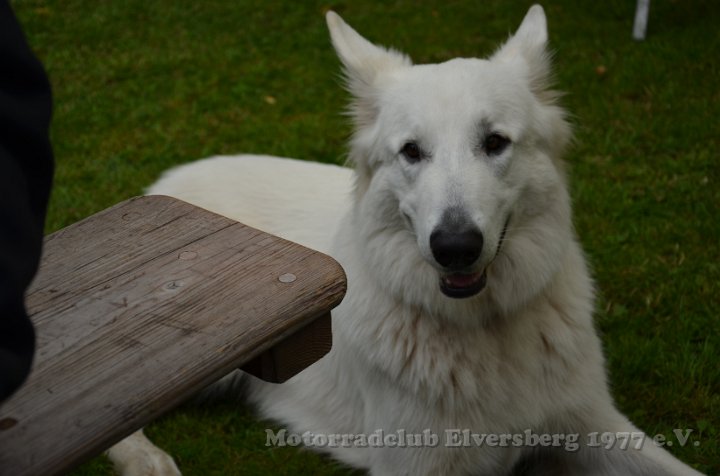 MCE Sommertreffen 2012 - 050.JPG